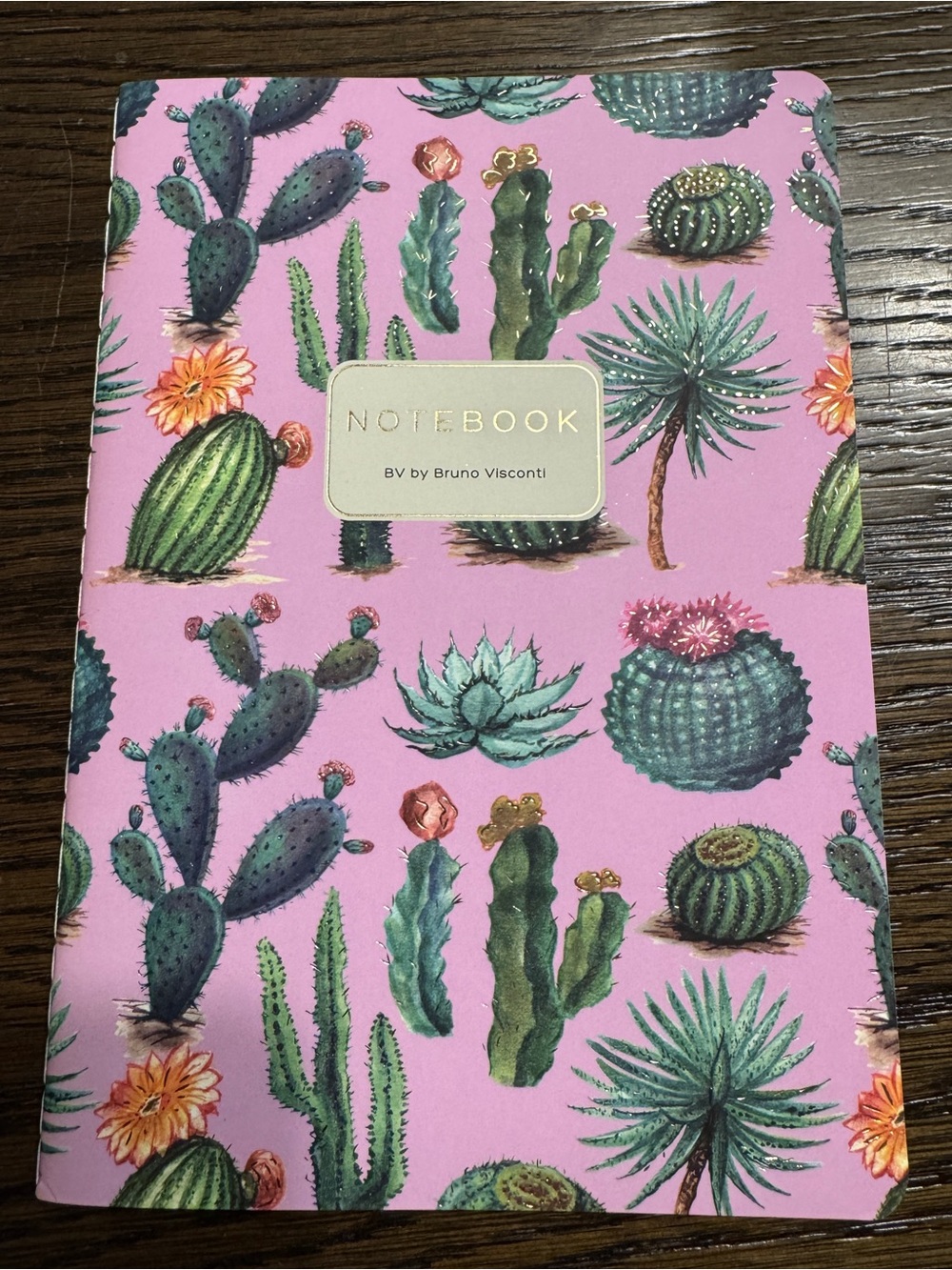 3 for $15 BV by Bruno Visconti A5 Journal Cactus on Rose Gold Foil NEW